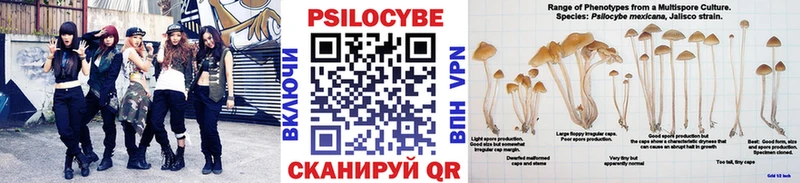 Псилоцибиновые грибы прущие грибы  Беслан 